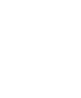 SCD-Web-2c-2